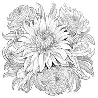 Floral Coloring Pages photo