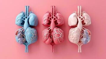 3d ilustración de el humano Organo sistemas, humano interno órganos anatomía. nervioso, circulatorio, digestivo, excretorio, urinario, y hueso sistemas médico educación concepto, generativo ai ilustración foto