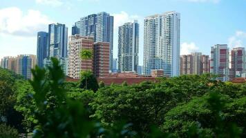 a view of the Singapore cityscape from a park video