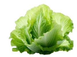 A green lettuce isolated png