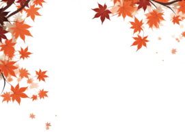 feuilles d'automne isolées png