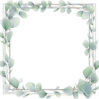 Watercolor eucalyptus leaves frame isolated png