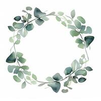 Watercolor eucalyptus leaves frame isolated photo