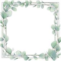 Watercolor eucalyptus leaves frame isolated photo