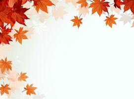 Autumn leaves isolated photo