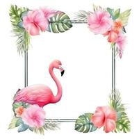 Watercolor flamingo frame isolated photo