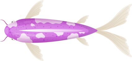 pescado clipart diseño png