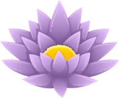 Water lily clipart png