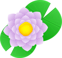 Water lily clipart png