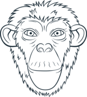 Monkey clipart design png