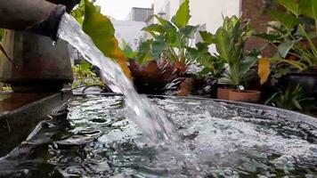 agua fluido desde un grande manguera dentro un sencillo pequeño piscina rodeado por flores, Perfecto para relajación video