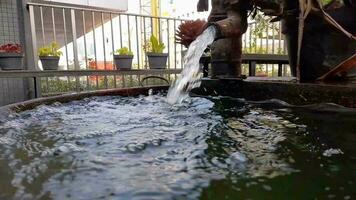 acqua fluente a partire dal un' grande tubo flessibile in un' semplice piccolo piscina circondato di fiori, Perfetto per rilassamento video