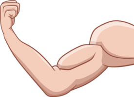 muscle bras dessin clipart png