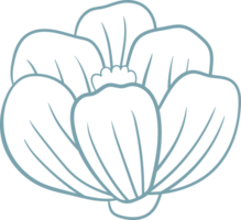 bloemen clip art ontwerp png