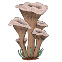 paddestoel tekening clip art png