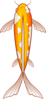 Fish clipart design png