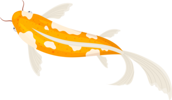 peixe clipart Projeto png