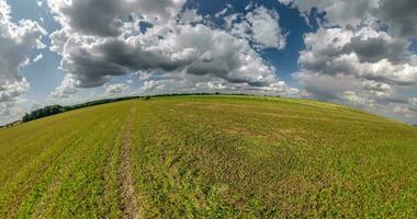 vert peu planète transformation avec courbure de espace parmi des champs dans ensoleillé journée et magnifique des nuages video