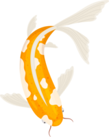 Fish clipart design png