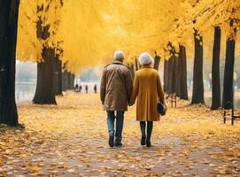 Happy senior couple in autumn park photo