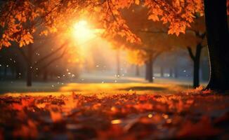 Autumn trees park background photo