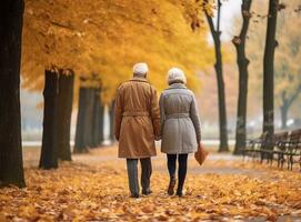 Happy senior couple in autumn park photo