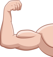 muscle bras dessin clipart png