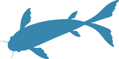 Fish clipart design png