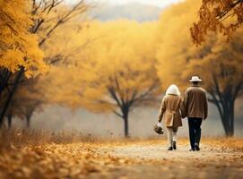 Happy senior couple in autumn park photo