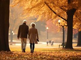 Happy senior couple in autumn park photo