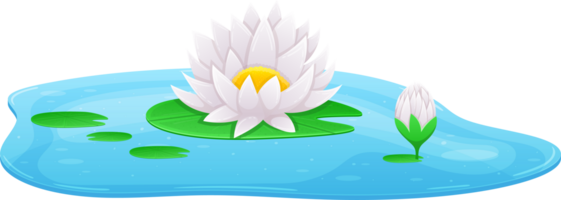 Water lily clipart png