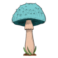 Mushroom drawing clipart png