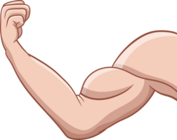 Muscle arm drawing clipart png