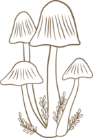 Mushroom drawing clipart png