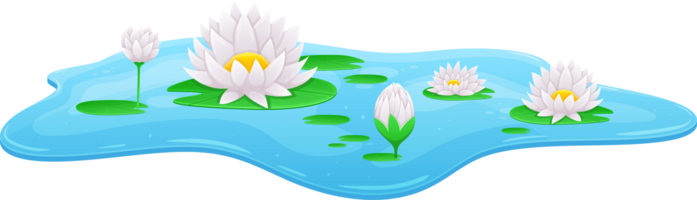 Water lily clipart png