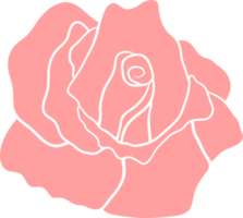 rosas clipart diseño png