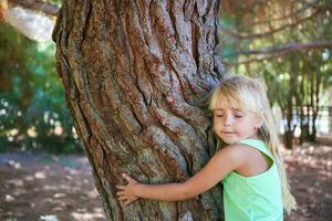 niña abrazando árbol en parque. foto