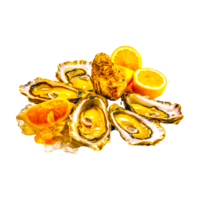 Seafood Dish png images Generative Ai