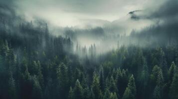 Generative AI, Misty fir forest beautiful landscape in hipster vintage retro style, foggy mountains and trees photo