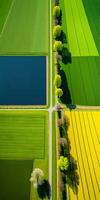 Generative AI, Farm landscape, agricultural fields, beautiful countryside, country road. Nature Illustration, photorealistic top view drone, vertical format photo