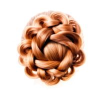 lang haar- vlecht haar- kleur bun kunstmatig haar- integraties, generatief ai png