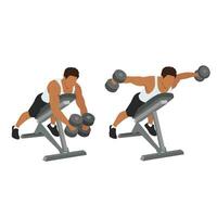 Man doing Dumbbell bent over chest supported reverse flyes. vector