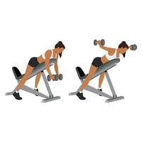 Woman doing Dumbbell bent over chest supported reverse flyes. vector