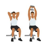 Man doing Seated tricep press. overhead extensions exercise. vector