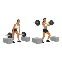 Woman doing barbell cleans or box cleans or block cleans exercise. vector