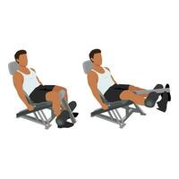 Man doing seated machine leg extensions exercise. vector