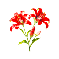 Orange lily Cut flowers Floral design Plant stem, Lily Orange, leaf, wedding, artificial Flower png Generative Ai