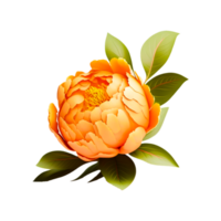 Floral Design Peony Flower Generative Ai png