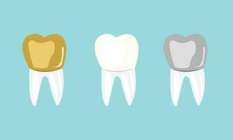 Set of Golden White And Silver Molar Teeth vector