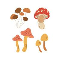 Mushrooms, toadstool. Hello autumn. Autumn season element, icon. vector